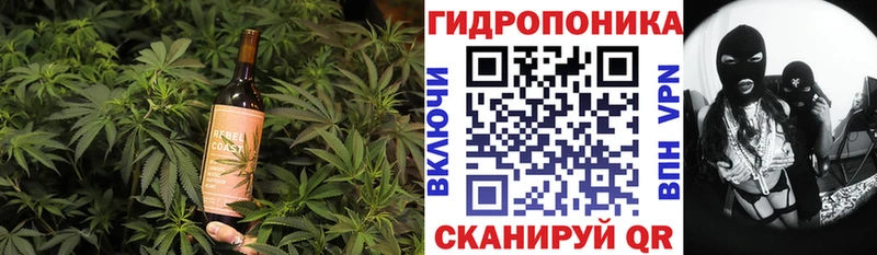 omg ссылки  купить наркотики цена  Североуральск  Еда ТГК конопля 