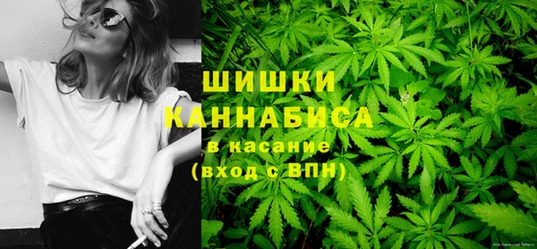 гидропоника Белоозёрский