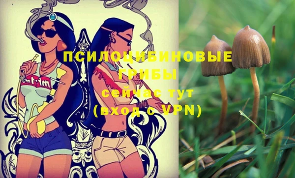 экстази Беломорск